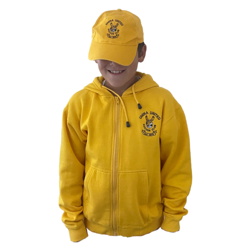hoodie gold zip
